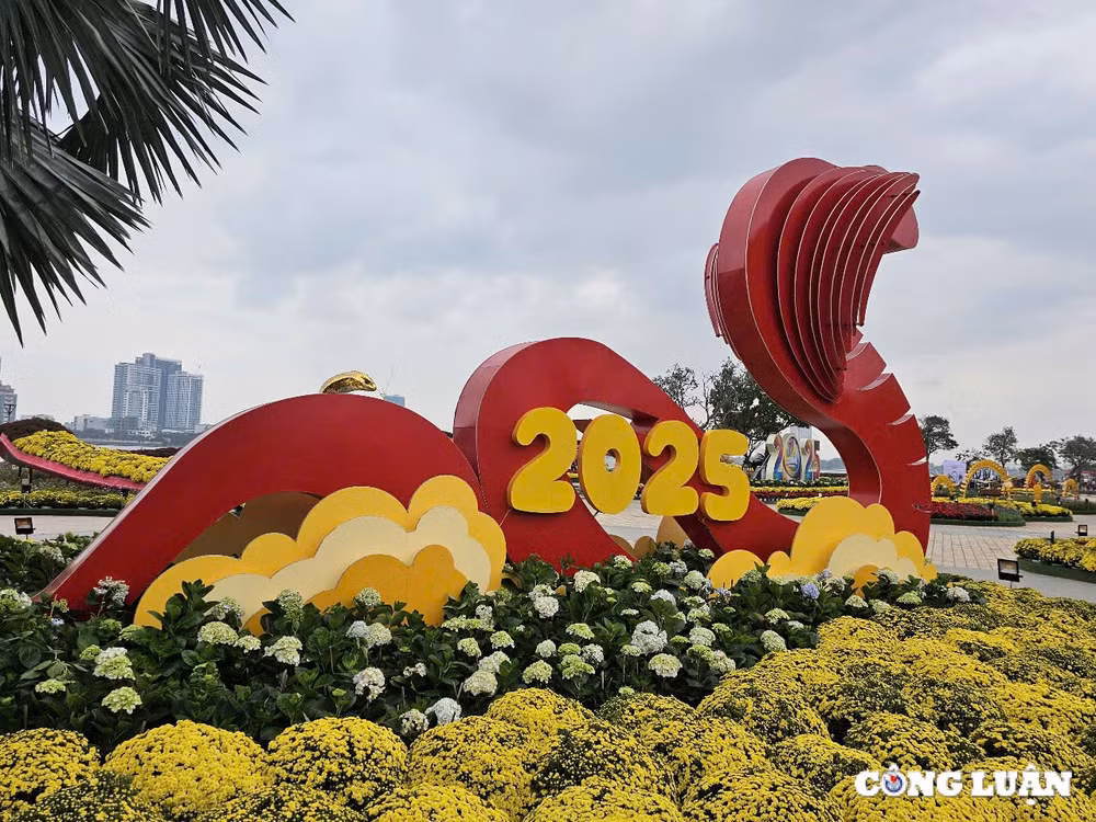 chiem nguong linh vat ran tren duong hoa xuan da nang 2025 hinh 12