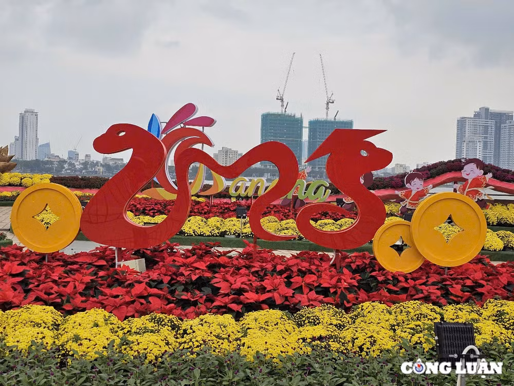 chiem nguong linh vat ran tren duong hoa xuan da nang 2025 hinh 1
