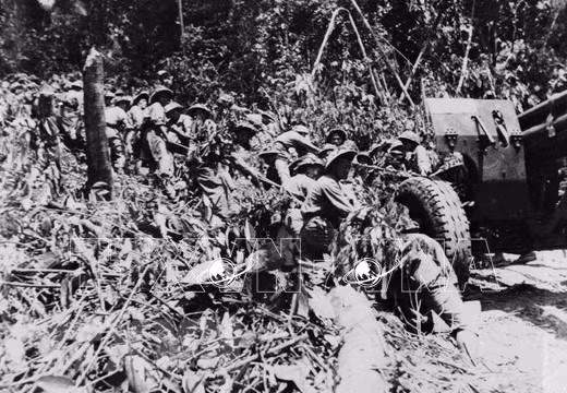 anh11.jpg