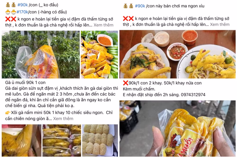 can trong voi ga u muoi hoa tieu gia re tren thi truong hinh 1