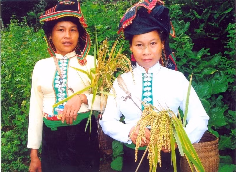 dac sac le mung com moi cua nguoi xinh mun hinh 4
