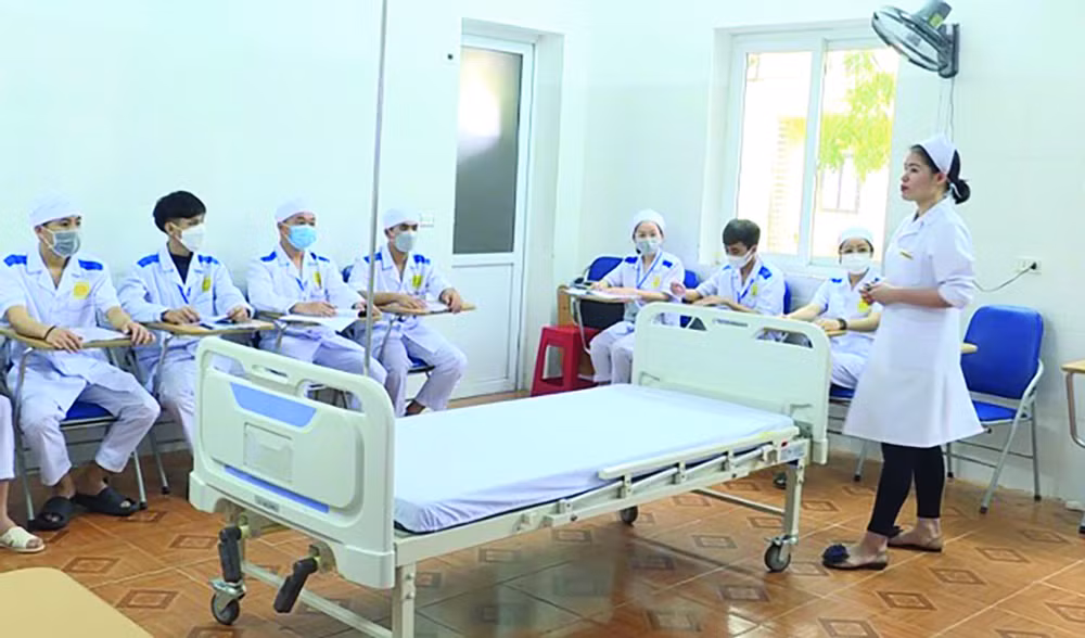 thanh hoa quan tam tu van nghe nghiep viec lam cho hoc sinh sinh vien hinh 2