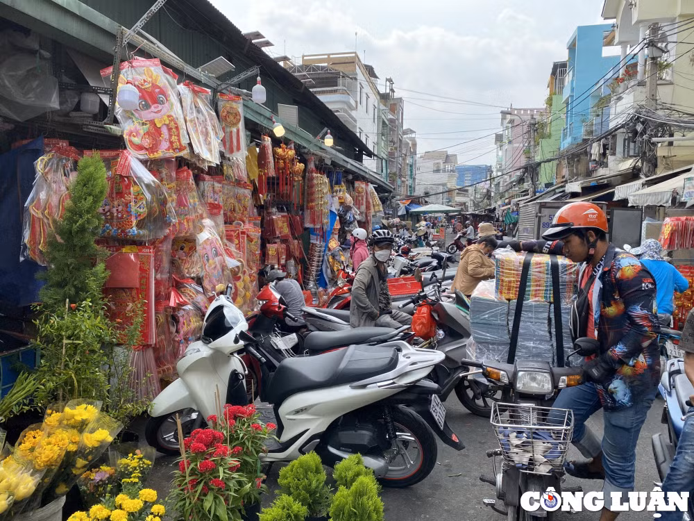 nguoi dan do xo den cho coi am lon nhat tp hcm mua do cung ong tao hinh 11