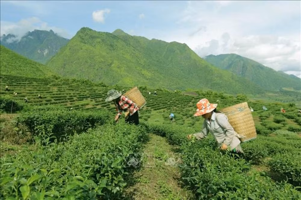 nghi quyet ve mot so chinh sach dac thu thuc hien cac chuong trinh muc tieu quoc gia hinh 1