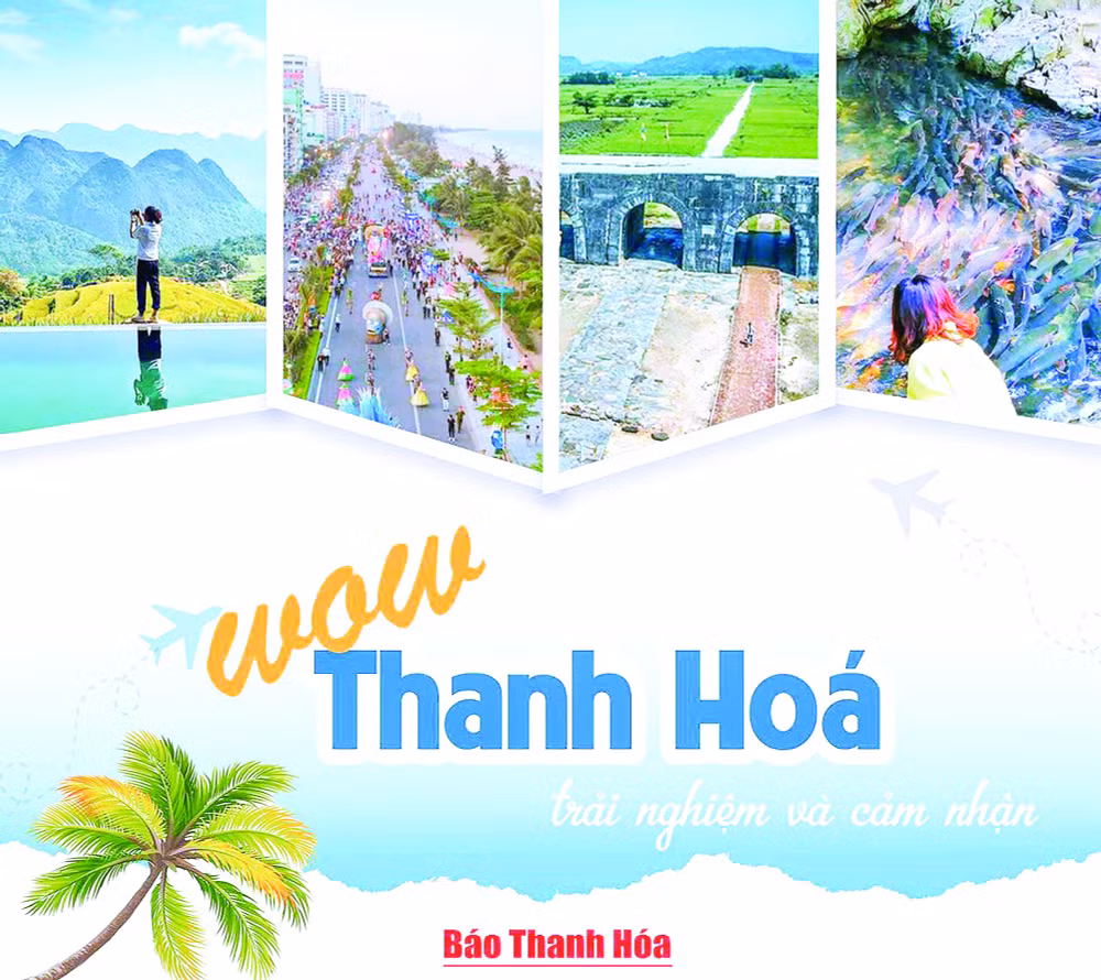 bao thanh hoa va cuoc dua chuyen doi so hinh 3