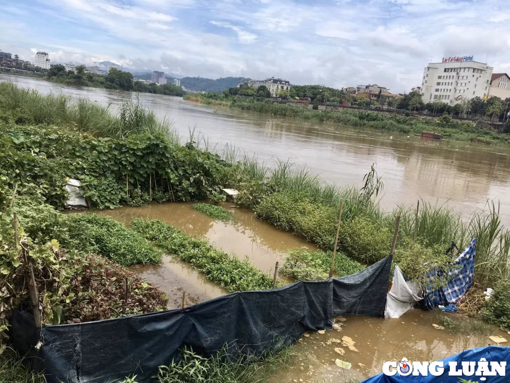 lao cai lu lon dau mua tren thuong nguon song hong hinh 2