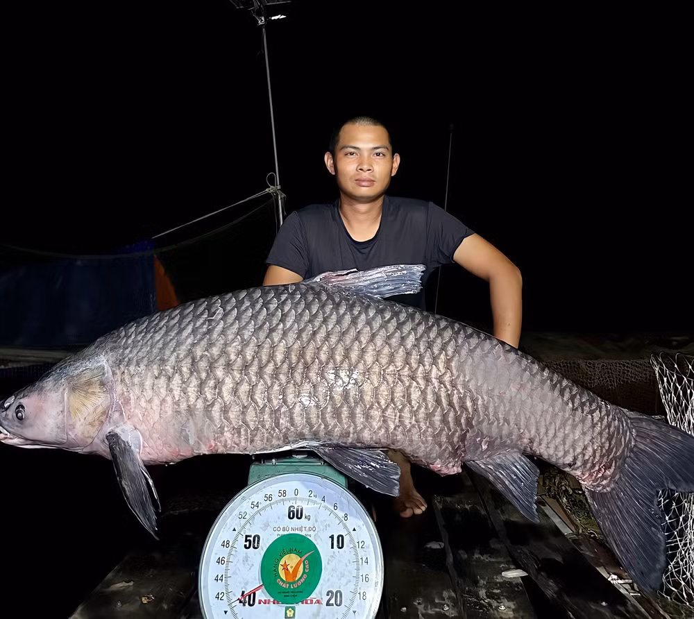cau duoc thuy quai tram den 40kg can thu quyet khong ban hinh 1