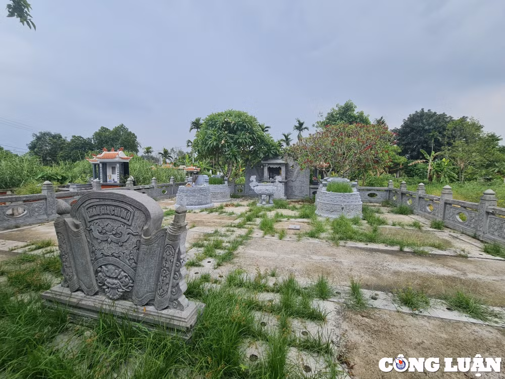 ky 2 mua dat nghia trang de nhu mua rau xuong tien giu cho tu khi con song hinh 9