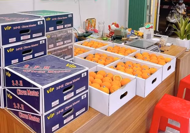 quyt uc do bo cho viet voi gia re nhat tu truoc toi nay chi 20000 dong kg hinh 1