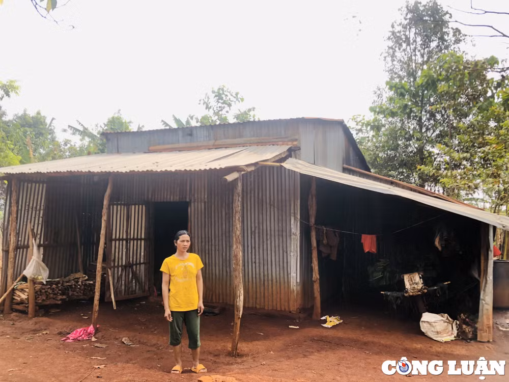 bai 1 giac mong doi doi hinh 1