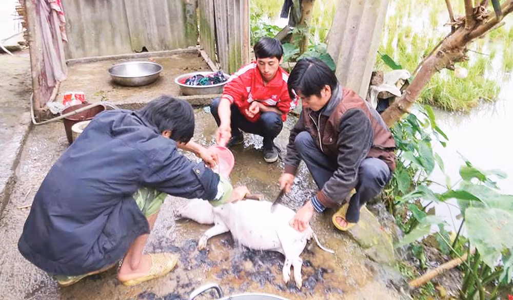 Thịt lợn – Món ăn không thể thiếu trong nhữngngày lễ trọng của người Thủy.
