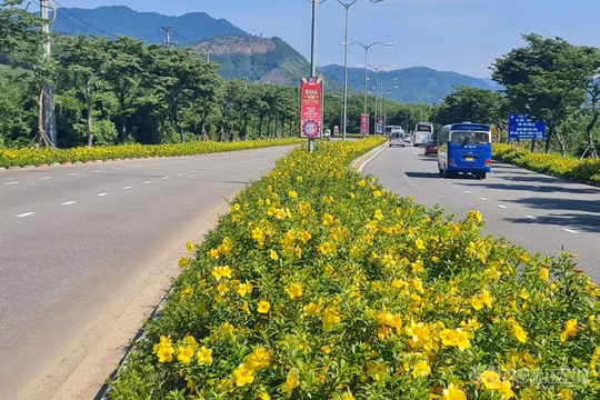 Đà Nẵng: Hơn 99% hộ dân được lấy ý kiến đồng thuận với chủ trương đưa 10 xã lên phường