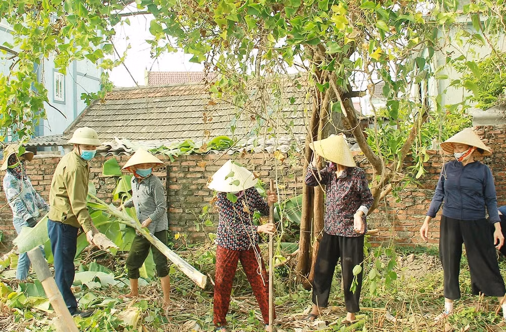nghi xuan ha tinh xuan hoi quyet tam dat xa nong thon moi nang cao hinh 4