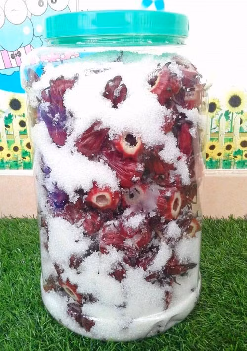 cach ngam hoa atiso do voi duong hinh 8