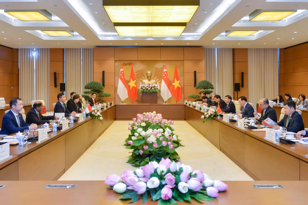 chu tich quoc hoi vuong dinh hue don hoi dam voi chu tich quoc hoi singapore hinh 3