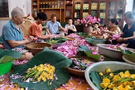 Nghề ướp trà sen Quảng An là di sản phi vật thể quốc gia