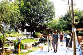 Ngành du lịch Ninh Bình vào mùa vàng đón khách quốc tế