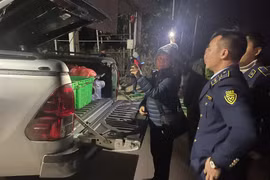 Hưng Yên: Xử phạt 2 đối tượng chở 170kg thịt bò bốc mùi hôi thối đang trên đường tiêu thụ