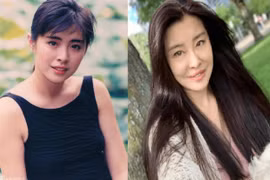 Nhan sắc gây xôn xao của 'Đệ nhất mỹ nhân' Hong Kong Vương Tổ Hiền