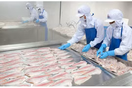 Thủy sản MeKong (AAM) thua lỗ Quý 4 kéo lùi lợi nhuận cả năm giảm 96%