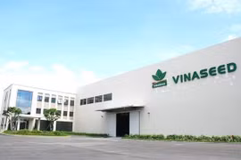 Vinaseed (NSC): Chi hơn 35 tỷ đồng trả cổ tức tiền mặt giữa lúc biên lợi nhuận rơi đáy, tồn kho và nợ vay cùng tăng vọt