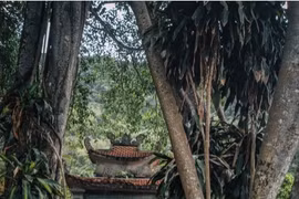 Về thăm “đất sinh Vua, sinh Thánh, sinh Thần” tại xứ sở của các loài chim