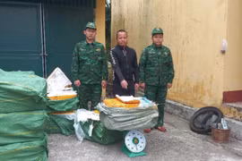 Bắt giữ vụ vận chuyển gần 900kg nầm lợn đông lạnh không rõ nguồn gốc ở Quảng Ninh