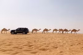 Xe sang thuần điện đầu tiên của Range Rover sắp trình làng