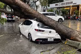 Những lưu ý quan trọng khi di chuyển trong điều kiện mưa bão