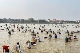 Hội bắt cá làng Phú Hậu: Sắc màu văn hóa từ đồng quê Vĩnh Phúc
