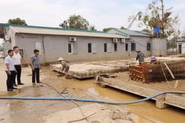 Bắc Ninh: Tuyên truyền rộng rãi chính sách ưu đãi thuế đến người dân, doanh nghiệp bị thiệt hại do bão số 3