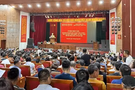 Sẽ dừng phiên đấu giá đất nếu phát hiện hành vi thông đồng, dìm giá