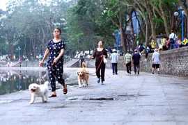 Phó Thủ tướng chỉ đạo tăng cường công tác phòng, chống bệnh dại