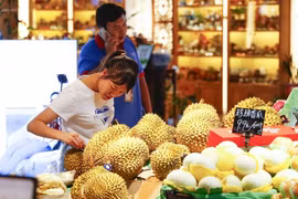 Malaysia bắt đầu xuất khẩu sầu riêng “xa xỉ” sang Trung Quốc
