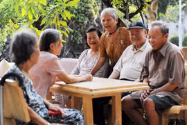 Trình Chính phủ dự thảo Chiến lược quốc gia về người cao tuổi đến năm 2030, tầm nhìn 2045 trong quý IV/2024