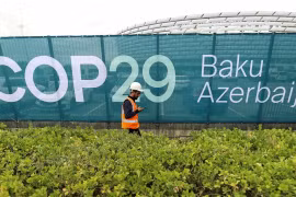 COP29: Thị trường mua bán tín chỉ carbon toàn cầu sẽ hoạt động như thế nào?