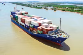 Vận tải Xếp dỡ Hải An (HAH) lợi nhuận sụt giảm, cổ đông lớn Viconship vừa 'xả' 5,2 triệu cổ phiếu