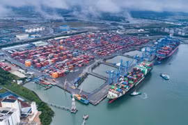 Lập đề án nghiên cứu tổng thể việc khai thác tàu biển cỡ lớn