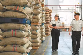 Trung Quốc tăng mạnh nhập khẩu cà phê