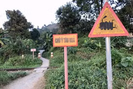 Lào Cai: Tạm đóng các tuyến đường gom, các lối mở tự phát qua đường sắt