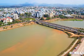 Festival sâm Ngọc Linh - Kon Tum sẽ diễn ra cuối năm 2024