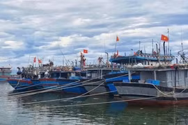 Ứng phó với bão số 8: Các địa phương quản lý chặt chẽ tàu thuyền ra khơi