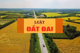 Chính phủ ban hành Nghị định quy định chi tiết thi hành một số điều của Luật Đất đai, thi hành từ 1/8