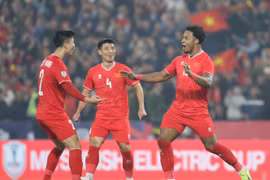 Đội tuyển Việt Nam thi đấu trận chung kết AFF Cup 2024 khi nào?