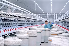 Kinh tế - xã hội tỉnh Thái Bình có nhiều khởi sắc