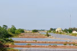 Nam Định: Thu hồi hơn 21.000m2 đất Cồn Xanh do vi phạm