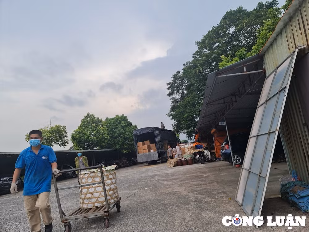 bai 2 nup bong hop dong kinh te lap bai xe trai phep tren hanh lang bao ve cong trinh thuy loi hinh 5