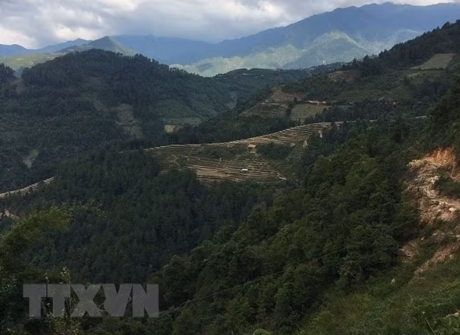 phat hien them mot bai da co tai mu cang chai hinh 5