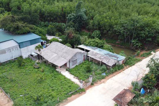 Thanh Hóa: Cần sớm gỡ khó cho các hộ dân tại Làng Thanh niên lập nghiệp Sông Chàng 