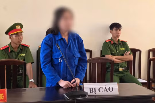 Người phụ nữ bị lĩnh 13 năm tù vì lừa đảo góp vốn kinh doanh đường